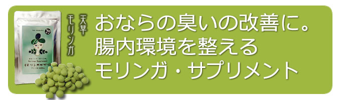 Ղ̐AuKTvgv@ 